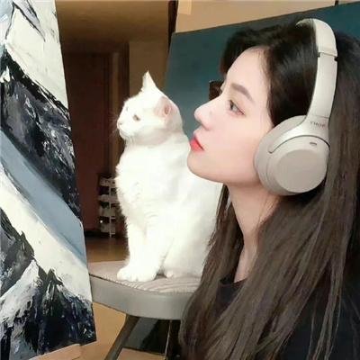 一本好书