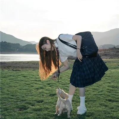鸡密真相